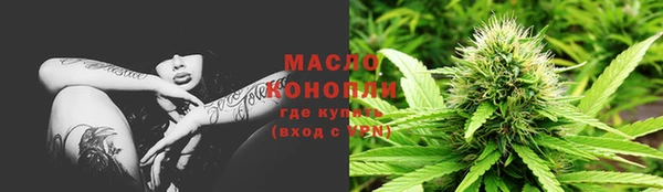 мдпв Пестово