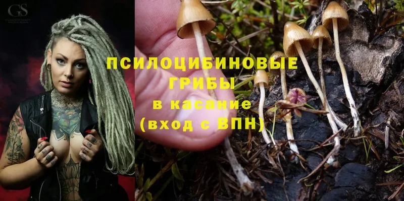 блэк спрут ONION  Белоозёрский  Псилоцибиновые грибы Magic Shrooms  купить закладку 